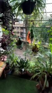 2 BHK For Sale NG Shelter 4 With Car Parking