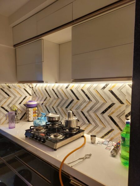 2 BHk Fully Furnished Lavish Flat For Sale JP Mira Road