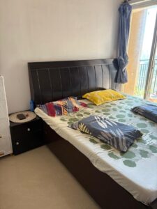 2 BHK Apartment for Rent in DB Ozone, Near Dahisar Toll Naka
