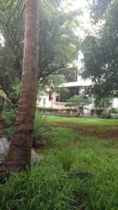 Premium 5 BHK Independent Bungalow with 4,650 Sq.Ft. Garden | IC Colony Extension, Dahisar West | ₹18 Cr Negotiable
