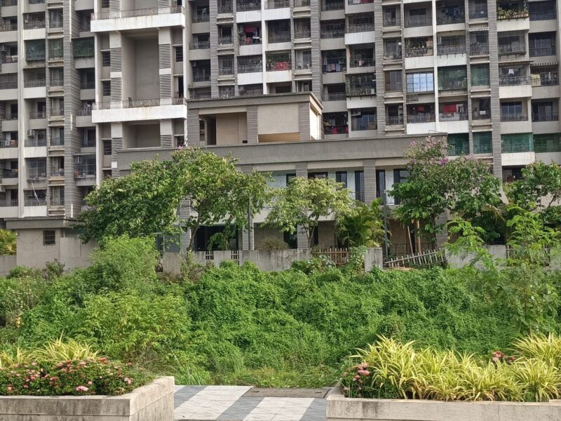 1 BHK River-Facing Resale Flat for Sale in Konark Solitair, Kalyan West