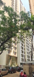 1 BHK Apartment for Sale in Apex Green Wood, Borivali East, Mumbai – ₹1.15 Crore