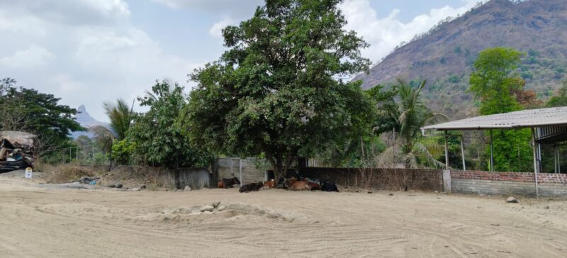 Commercial Property for Rent – Somate Gaon, Palghar