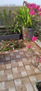 Spacious 2 BHK Flat for Sale in Ghatkopar East, Mumbai