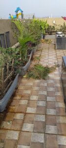 Spacious 2 BHK Flat for Sale in Ghatkopar East, Mumbai